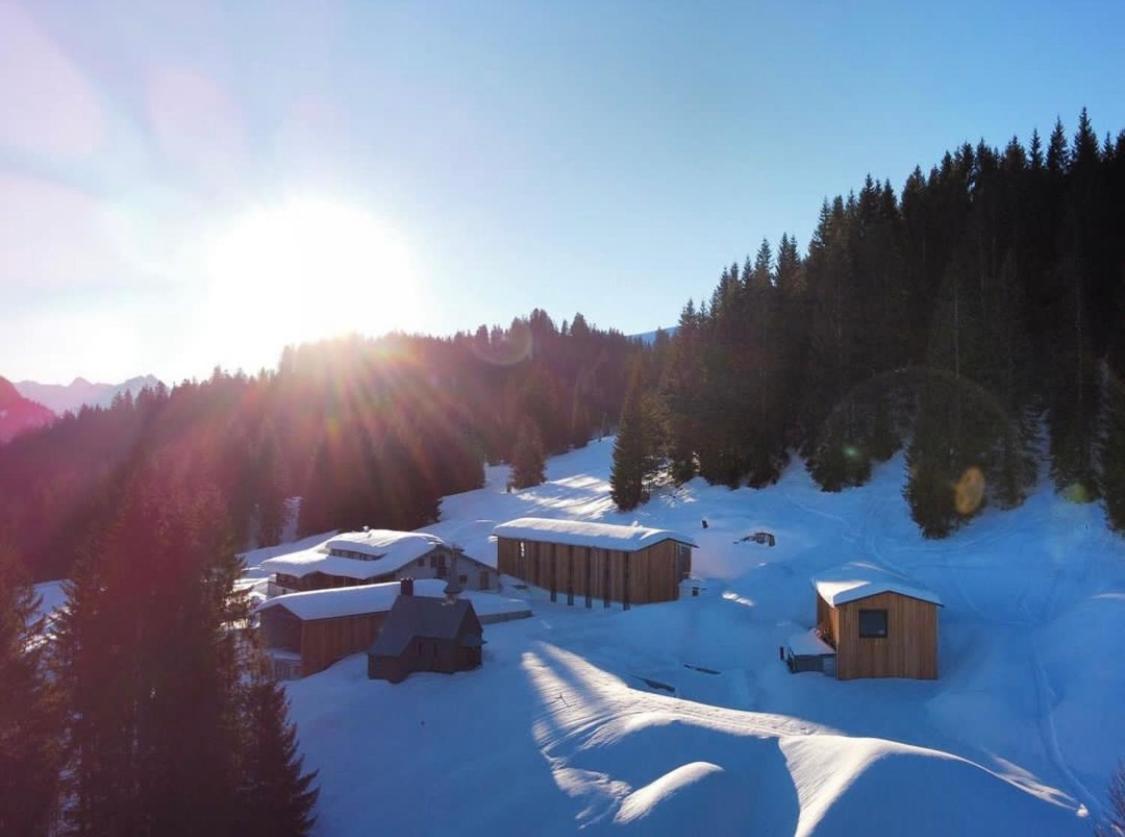 Отель Koepfle Alpe Бальдершванг Экстерьер фото